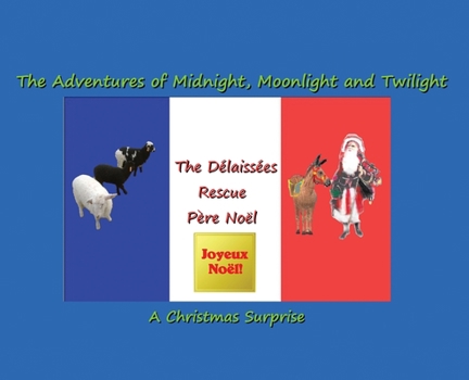 Hardcover The Délaissées Rescue Père Noël: The Adventures of Midnight, Moonlight and Twilight Book