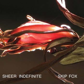 Paperback Sheer Indefinite:: Selected Poems, 1991-2011 Book