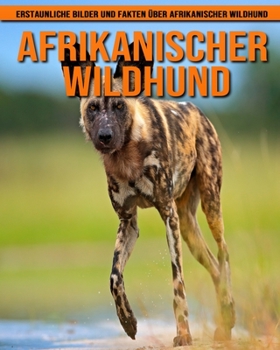 Afrikanischer Wildhund: Erstaunliche Bilder und Fakten über Afrikanischer Wildhund
