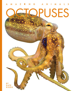 Octopuses - Book  of the Amazing Animals