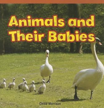 Paperback Animals and Their Babies Book