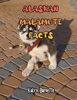 ALASKAN MALAMUTE FACTS: ALASKAN MALAMUTE fact for girl age 1-10 ALASKAN MALAMUTE fact for boy age 1-10 facts about all about ALASKAN MALAMUTE