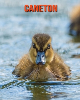Caneton: Informations Etonnantes & Images (French Edition)