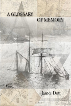 Paperback A Glossary of Memory Book