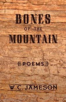 Paperback Bones of the Mountain Book