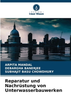 Reparatur und Nachrüstung von Unterwasserbauwerken (German Edition)