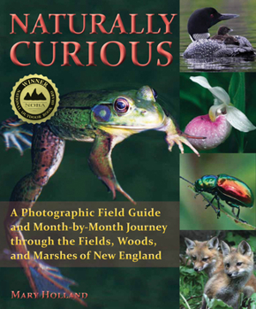 Paperback Naturally Curious: A Photographic Field Guide and Month-By-Month Journey Through the Fields, Woods, and Marshes of New England Book
