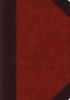 Paperback ESV Systematic Theology Study Bible (Trutone, Brown) Book