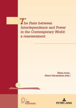 Paperback The State Between Interdependence and Power in the Contemporary World: A Reassessment Book
