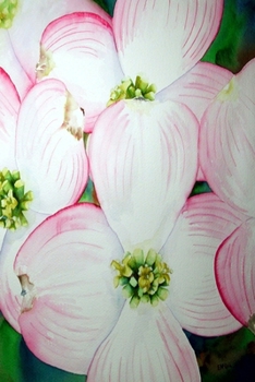 Paperback Dogwood: Journal Book