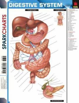 Paperback Digestive System (Sparkcharts) Book