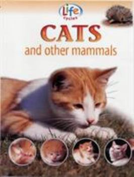Life Cycles of Cats and Other Mammals
