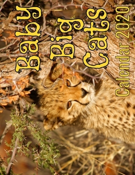 Baby Big Cats Calendar 2020