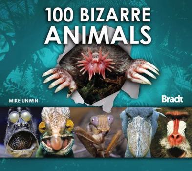 Hardcover 100 Bizarre Animals Book