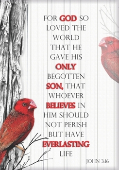 Paperback John 3: 16: Red Bird Book