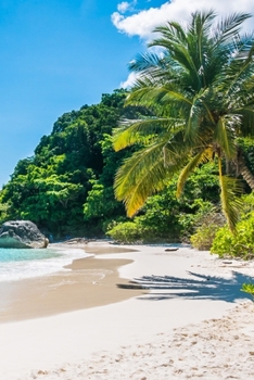 Website Password List: Internet Password Logbook Large Print with Tabs | Nature photo Cover