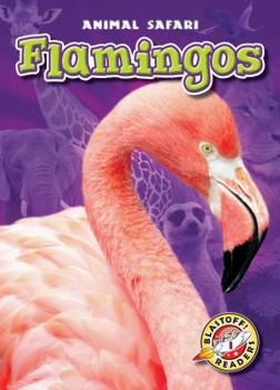 Flamingos - Book  of the Animal Safari