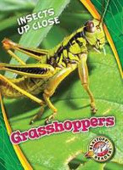 Grasshoppers - Book  of the Insects Up Close