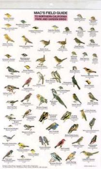 Pamphlet Mac's Field Guides: Northern California Park & Garden Birds Book