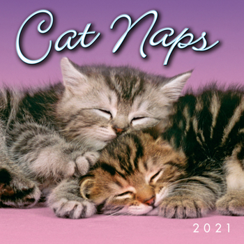 Calendar 2021 Cat Naps Mini Calendar Book