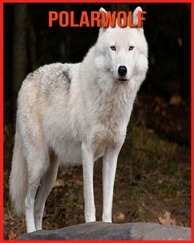 Paperback Polarwolf: Tolle Bilder & Wissenswertes ?ber Tiere in der Natur [German] Book