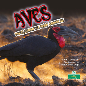 Library Binding Aves Espeluznantes Pero Geniales (Creepy But Cool Birds) [Spanish] Book