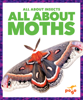 Library Binding All about Moths Book