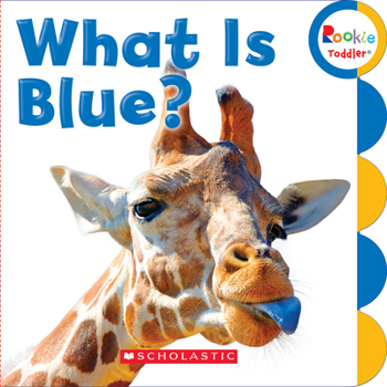 Board book What Is Blue? (Rookie Toddler) Book