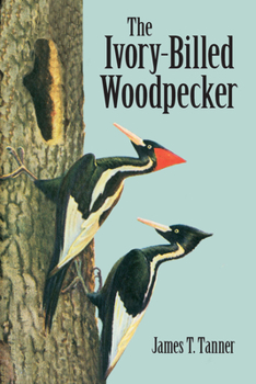 Paperback The Ivory-Billed Woodpecker Book