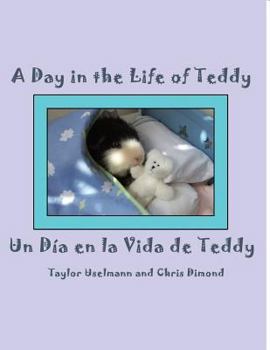 Paperback Un Dia en la Vida de Teddy/A Day in the Life of Teddy Book