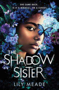 Hardcover The Shadow Sister Book