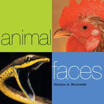 Hardcover Animal Faces Book