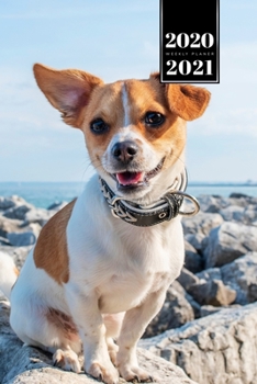 Chihuahua Dog Calendar Week Planner 2020 / 2021 - On the Coast: Pup Puppy Doggie Pet Owner Weekly Bullet Journal Notebook Diary in 6” x 9” Inch Pocket Size