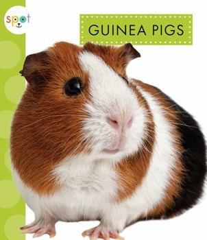 Paperback Guinea Pigs Book