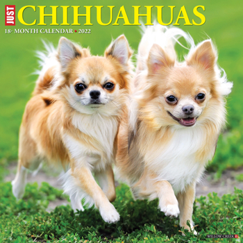 Calendar Just Chihuahuas 2022 Wall Calendar (Dog Breed) Book