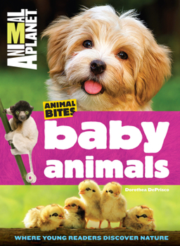 Paperback Baby Animals (Animal Planet Animal Bites) Book
