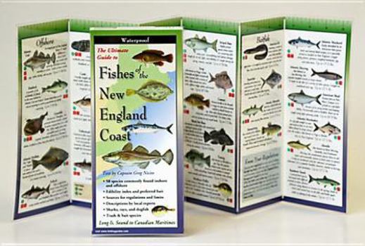 Paperback Fishes of the New England Coast Book