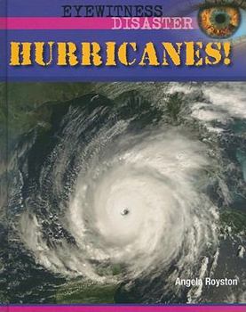 Library Binding Hurricanes! Book