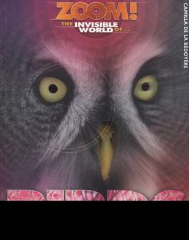 Paperback The Invisible World of Birds (Zoom!) Book