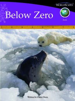 Paperback Below Zero Book