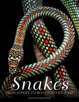 Hardcover Snakes: From Vipers to Boa Constrictors Book