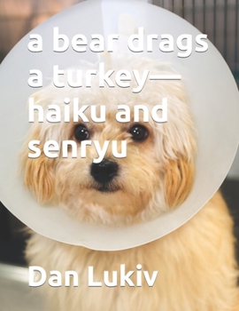 Paperback A bear drags a turkey-haiku and senryu Book