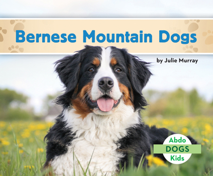 Library Binding Bernese Mountain Dogs Book