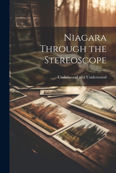 Niagara Through the Stereoscope
