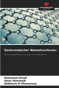 Paperback Semiconductor Nanostructures Book