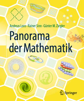 Paperback Panorama Der Mathematik [German] Book