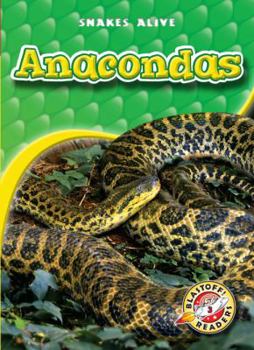 Anacondas (Paperback) - Book  of the Snakes Alive