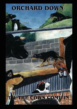 Paperback Orchard Down - 'til the cows come home & Sam and jack Book