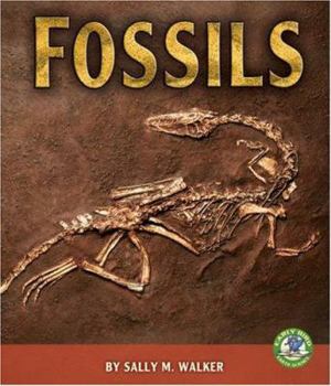 Fossils - Book  of the Early Bird Earth Science