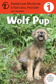 Paperback Wolf Pup: (Level 1) Volume 4 Book